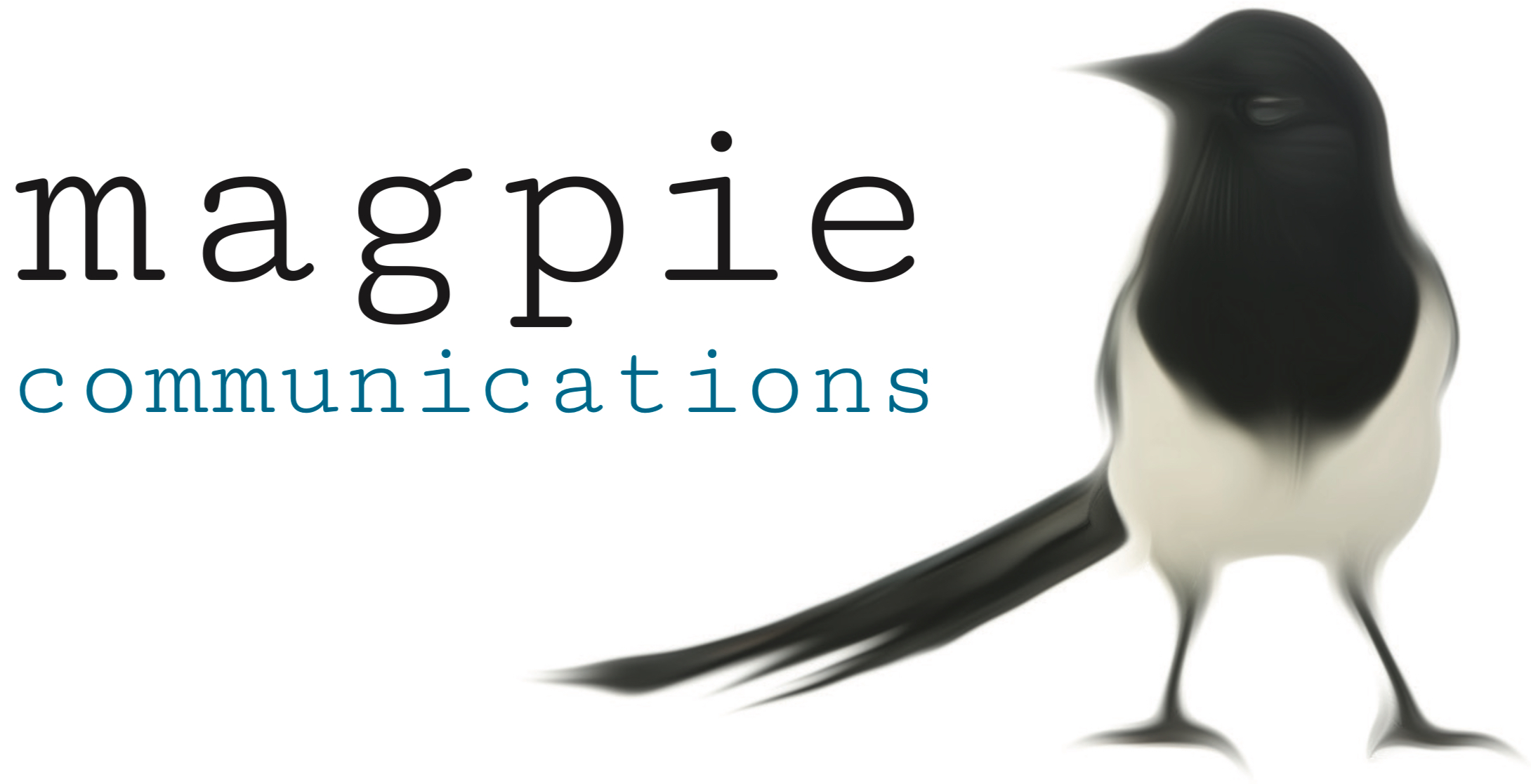 Magpie says, “Hi!”